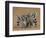 Ring-tailed Lemur (Lemur catta) four adults, sitting on ground, huddled together, Berenty-Martin Withers-Framed Photographic Print