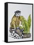 Ring-Tailed Lemur (Lemur Catta), Lemuridae-null-Framed Stretched Canvas