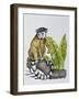 Ring-Tailed Lemur (Lemur Catta), Lemuridae-null-Framed Giclee Print