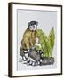 Ring-Tailed Lemur (Lemur Catta), Lemuridae-null-Framed Giclee Print