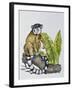 Ring-Tailed Lemur (Lemur Catta), Lemuridae-null-Framed Giclee Print