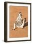 Ring-Tailed Lemur (Lemur Catta) Sunbathing with a Suckling Cub-Gabrielle and Michel Therin-Weise-Framed Photographic Print