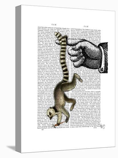 Ring Tailed Lemur on Finger-Fab Funky-Stretched Canvas