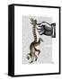 Ring Tailed Lemur on Finger-Fab Funky-Framed Stretched Canvas