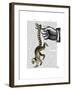 Ring Tailed Lemur on Finger-Fab Funky-Framed Art Print