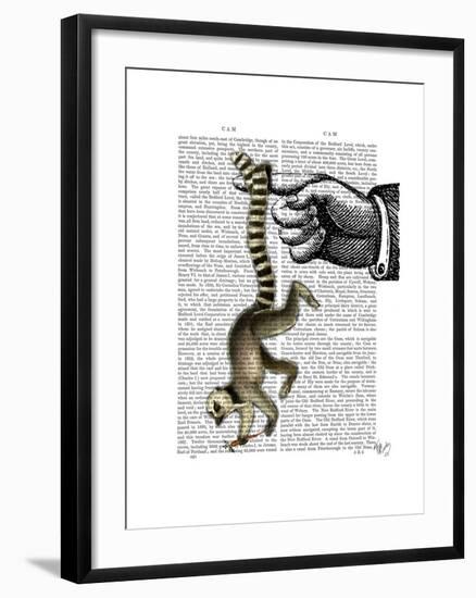 Ring Tailed Lemur on Finger-Fab Funky-Framed Art Print