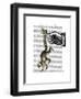 Ring Tailed Lemur on Finger-Fab Funky-Framed Art Print