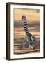 Ring-Tailed Lemur Walking with Tail Up-null-Framed Premium Photographic Print