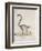 Ring-Tailed Lemur-null-Framed Giclee Print