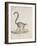 Ring-Tailed Lemur-null-Framed Giclee Print