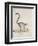 Ring-Tailed Lemur-null-Framed Premium Giclee Print