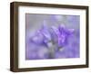 Ring the Bells of Change III-Gillian Hunt-Framed Photographic Print