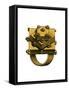 Ring-Henry Shaw-Framed Stretched Canvas