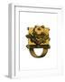 Ring-Henry Shaw-Framed Giclee Print