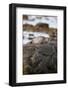 Ringed Seal on Rock in Hudson Bay, Churchill, Manitoba, Canada-Richard ans Susan Day-Framed Photographic Print