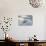 Ringed Seal Pup on Iceberg, Nunavut Territory, Canada-Paul Souders-Stretched Canvas displayed on a wall