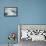 Ringed Seal Pup on Iceberg, Nunavut Territory, Canada-Paul Souders-Framed Stretched Canvas displayed on a wall