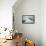 Ringed Seal Pup on Iceberg, Nunavut Territory, Canada-Paul Souders-Framed Stretched Canvas displayed on a wall