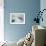 Ringed Seal Pup on Iceberg, Nunavut Territory, Canada-Paul Souders-Framed Photographic Print displayed on a wall