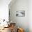 Ringed Seal Pup on Iceberg, Nunavut Territory, Canada-Paul Souders-Mounted Photographic Print displayed on a wall