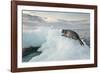 Ringed Seal Pup on Iceberg, Nunavut Territory, Canada-Paul Souders-Framed Photographic Print