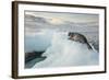 Ringed Seal Pup on Iceberg, Nunavut Territory, Canada-Paul Souders-Framed Photographic Print