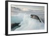 Ringed Seal Pup on Iceberg, Nunavut Territory, Canada-Paul Souders-Framed Photographic Print