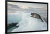 Ringed Seal Pup on Iceberg, Nunavut Territory, Canada-Paul Souders-Framed Photographic Print