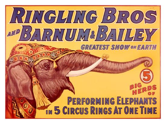 Ringling Brothers Circus: Performing Elephant' Giclee Print ...