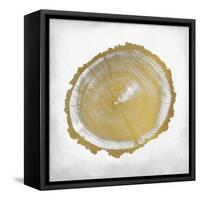 Rings 2-Kimberly Allen-Framed Stretched Canvas