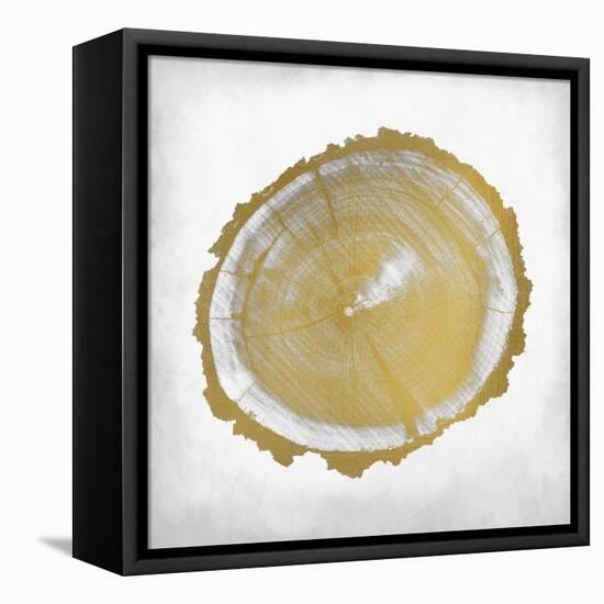 Rings 2-Kimberly Allen-Framed Stretched Canvas
