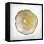 Rings 3-Kimberly Allen-Framed Stretched Canvas