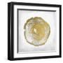 Rings 3-Kimberly Allen-Framed Art Print