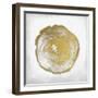 Rings 3-Kimberly Allen-Framed Art Print