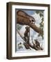 Ringtail Reveille-Rusty Frentner-Framed Premium Giclee Print