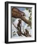 Ringtail Reveille-Rusty Frentner-Framed Premium Giclee Print