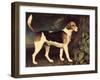 Ringwood, a Brocklesby Foxhound, 1792-George Stubbs-Framed Giclee Print
