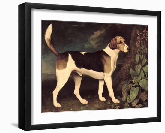 Ringwood, a Brocklesby Foxhound, 1792-George Stubbs-Framed Giclee Print