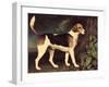 Ringwood, a Brocklesby Foxhound, 1792-George Stubbs-Framed Giclee Print