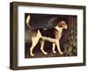 Ringwood, a Brocklesby Foxhound, 1792-George Stubbs-Framed Premium Giclee Print