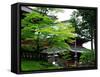 Rinnoji Temple-null-Framed Stretched Canvas