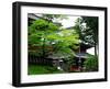 Rinnoji Temple-null-Framed Photographic Print