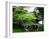 Rinnoji Temple-null-Framed Photographic Print