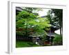 Rinnoji Temple-null-Framed Photographic Print