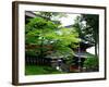 Rinnoji Temple-null-Framed Photographic Print