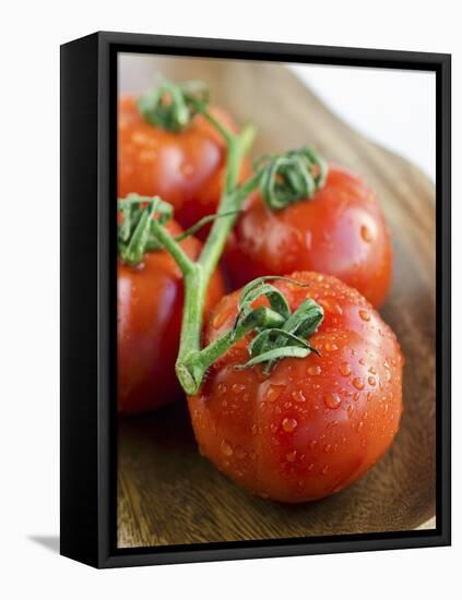 Rinsed Tomatoes with Water Droplets-Clara Gonzalez-Framed Stretched Canvas