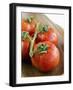 Rinsed Tomatoes with Water Droplets-Clara Gonzalez-Framed Photographic Print