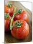 Rinsed Tomatoes with Water Droplets-Clara Gonzalez-Mounted Photographic Print