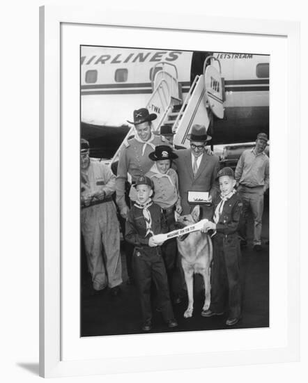 Rintintin Arrives in Washington, D.C. with a Group of Boy Scouts on April 9, 1959-null-Framed Photo