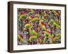 Rio Carnival, Rio De Janeiro, Brazil-Demetrio Carrasco-Framed Photographic Print